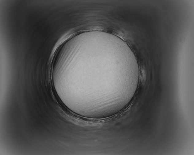 X0000087010004200705071535