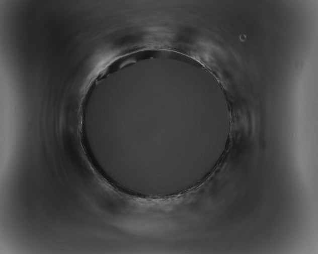 X0000087010005200705071535