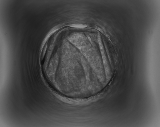 X0000087010006200705071535