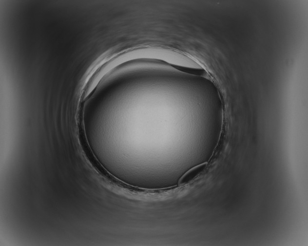 X0000087010007200705071535