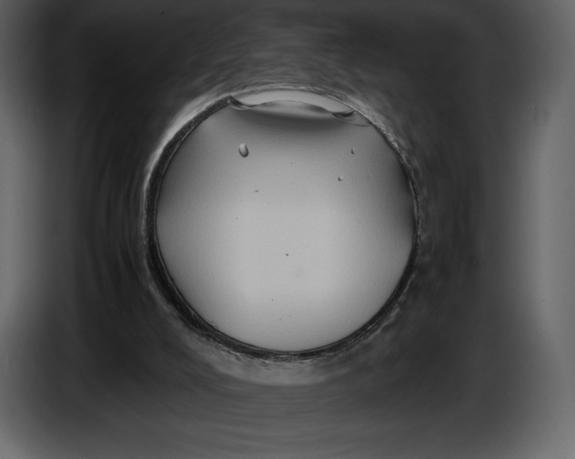 X0000087010008200705071535