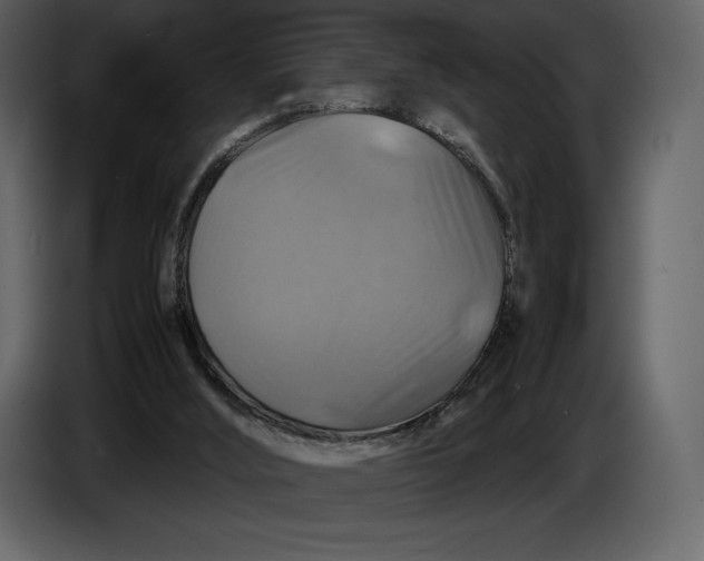 X0000087010012200705071535