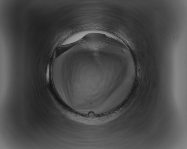 X0000087010014200705071535