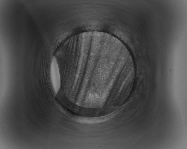 X0000087010017200705071535