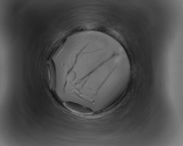 X0000087010018200705071535