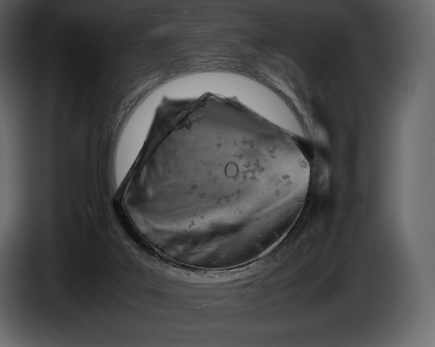 X0000087010019200705071535