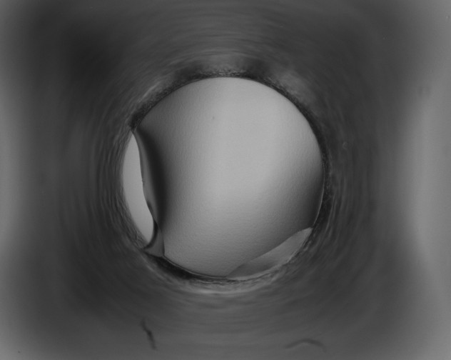 X0000087010021200705071535