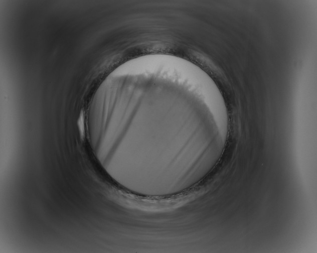 X0000087010022200705071535