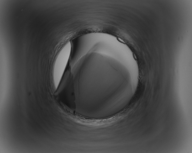 X0000087010023200705071535