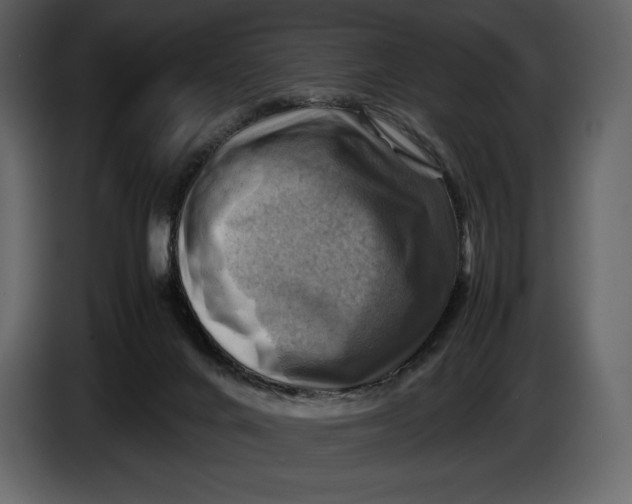 X0000087010024200705071535