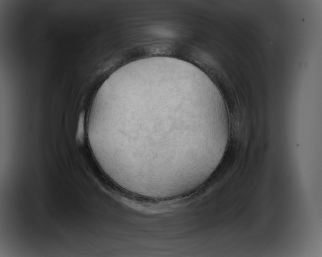 X0000087010028200705071535