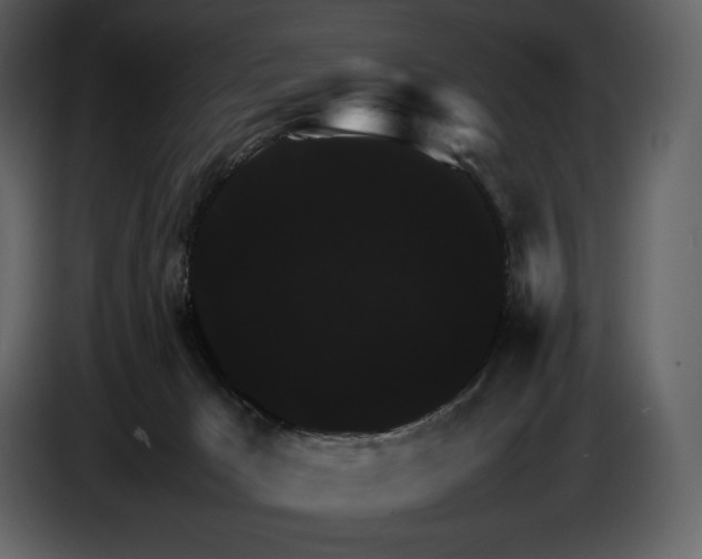 X0000087010029200705071535