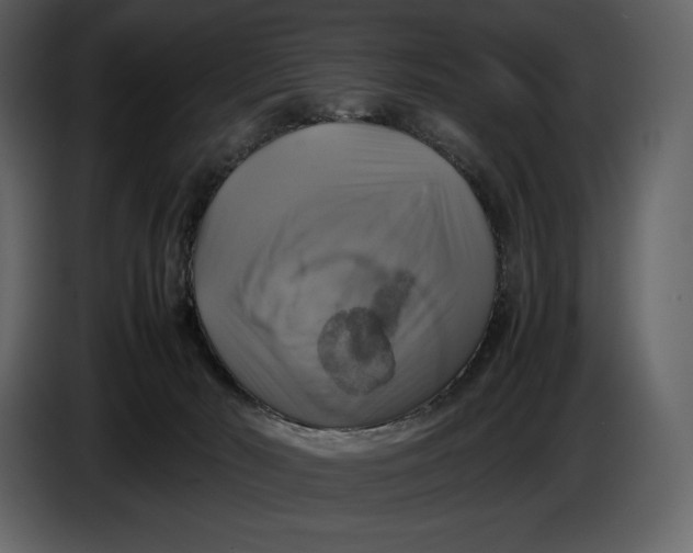 X0000087010030200705071535