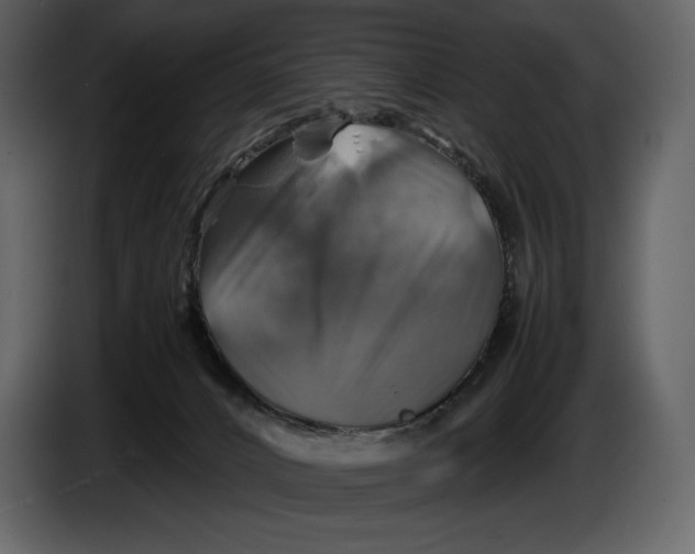 X0000087010032200705071535