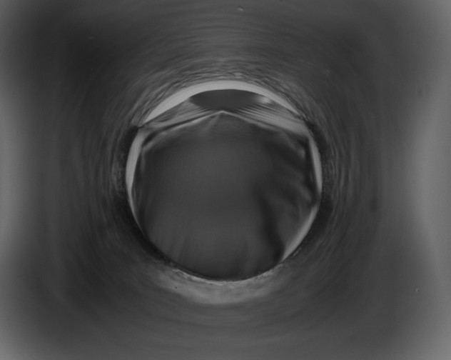 X0000087010035200705071535