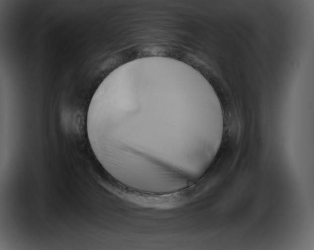 X0000087010036200705071535