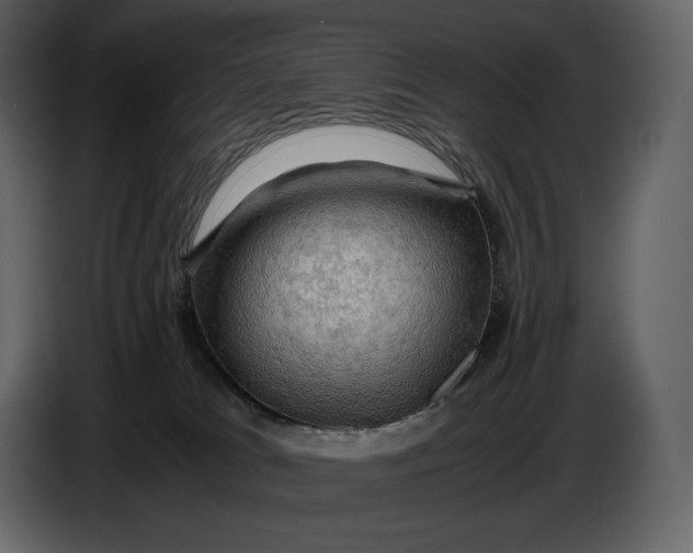 X0000087010037200705071535