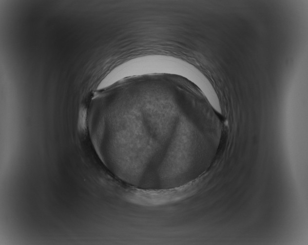 X0000087010041200705071535