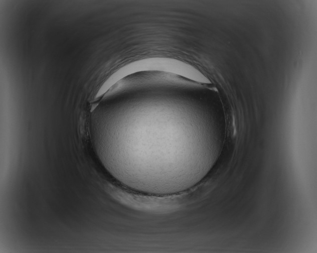 X0000087010044200705071535