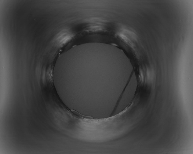 X0000087010045200705071535