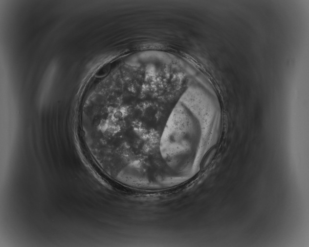 X0000087010049200705071534