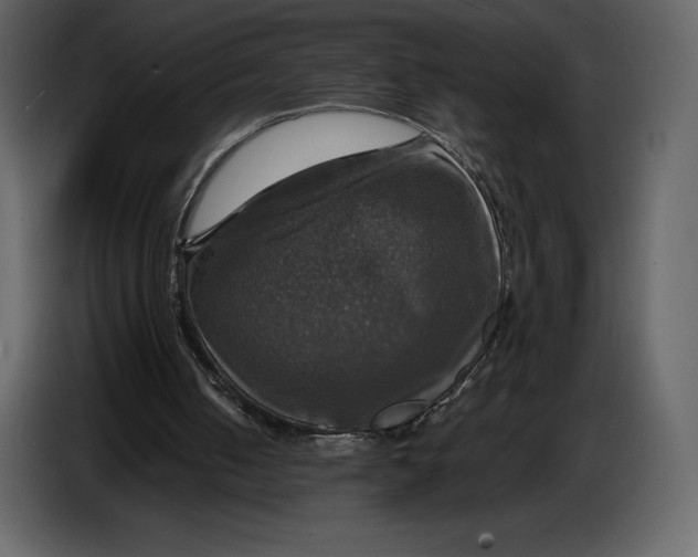 X0000087010050200705071534