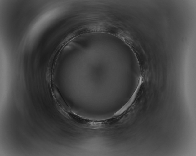 X0000087010052200705071534