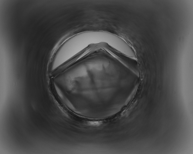 X0000087010053200705071534