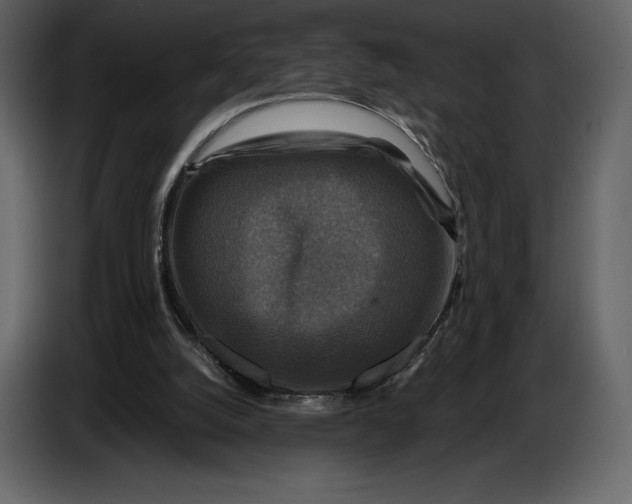 X0000087010056200705071534