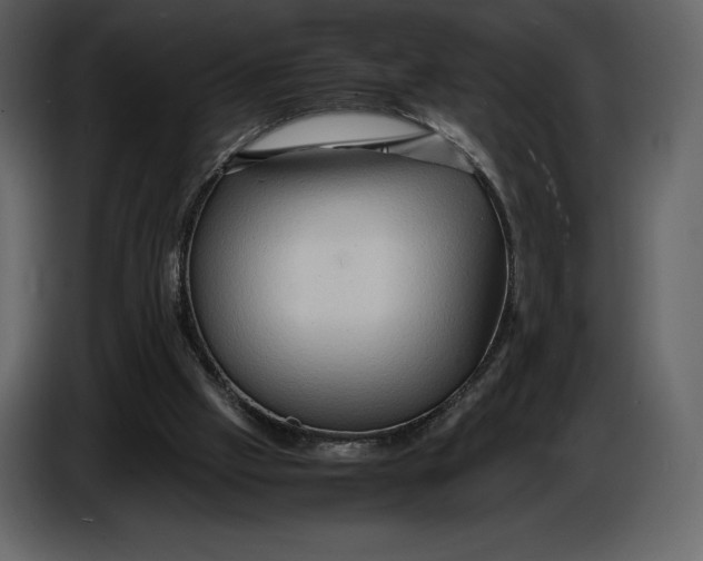 X0000087010057200705071534