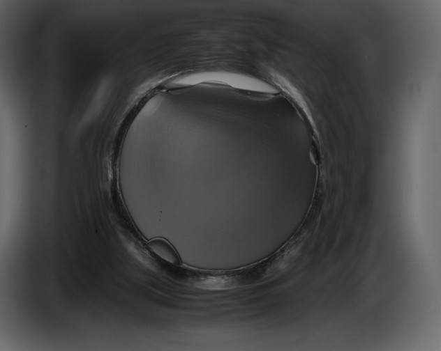 X0000087010059200705071534