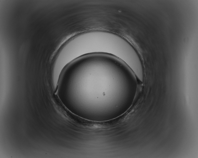 X0000087010060200705071534