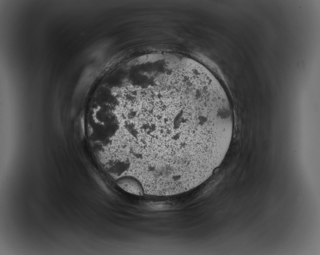 X0000087010061200705071534