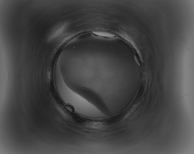 X0000087010063200705071534