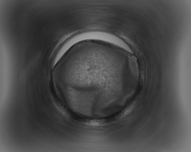 X0000087010064200705071534