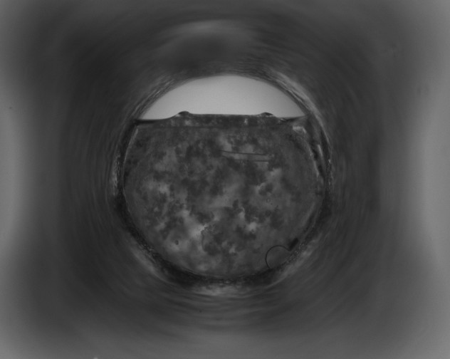 X0000087010065200705071534