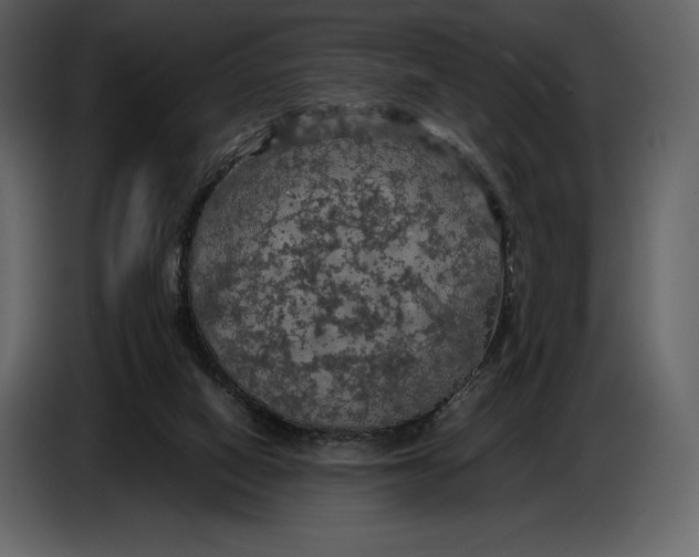 X0000087010066200705071534