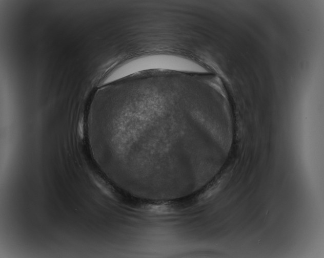 X0000087010068200705071534