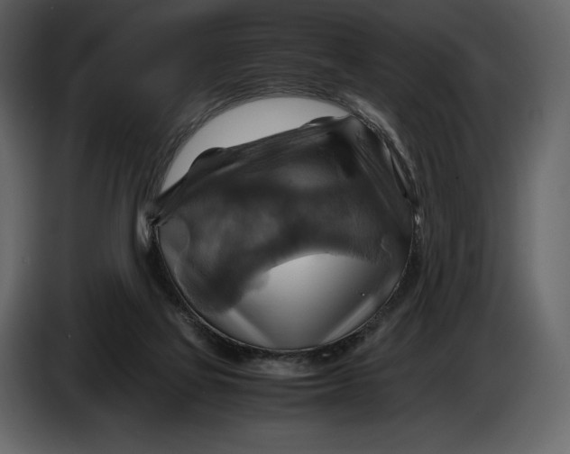 X0000087010069200705071534