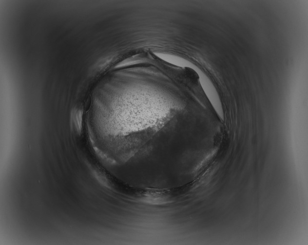 X0000087010070200705071534