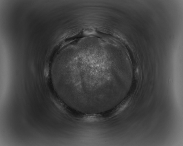 X0000087010072200705071534