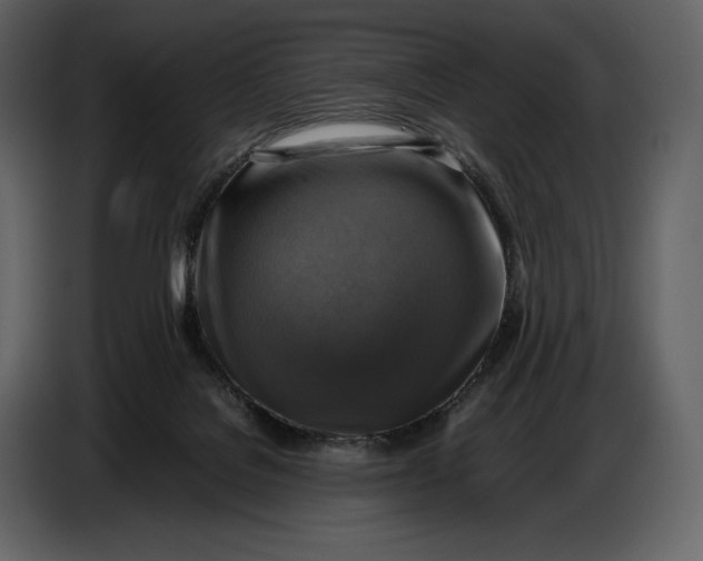 X0000087010076200705071534