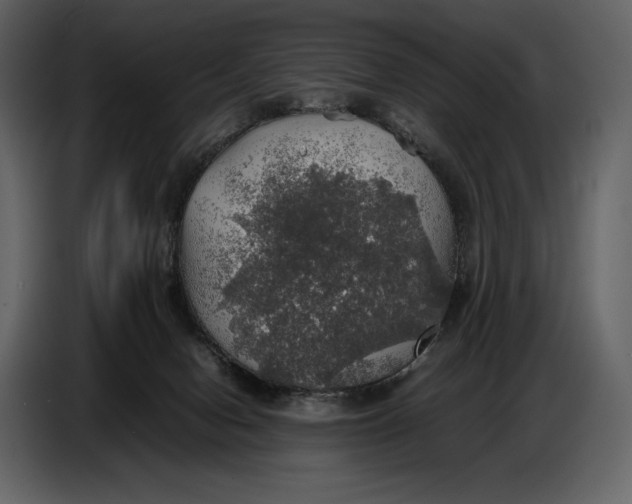 X0000087010078200705071534