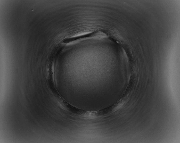 X0000087010080200705071534