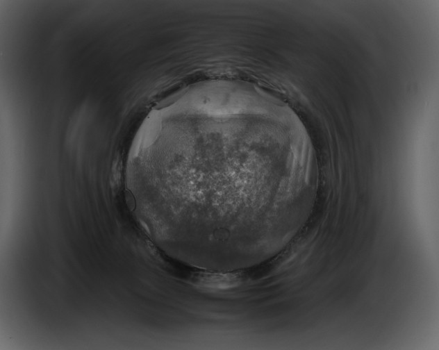 X0000087010081200705071534