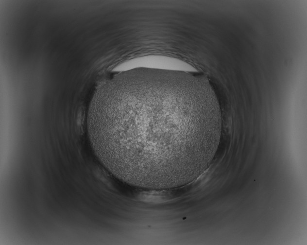 X0000087010082200705071534