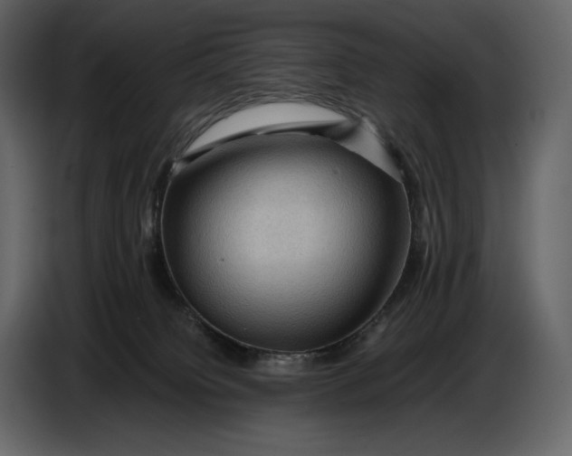 X0000087010084200705071534