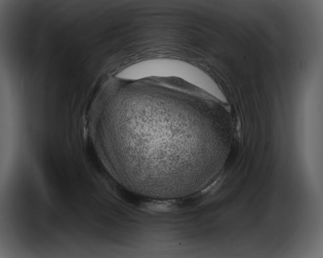 X0000087010086200705071534