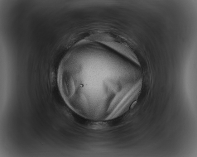 X0000087010087200705071534