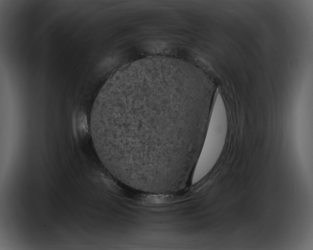 X0000087010089200705071534